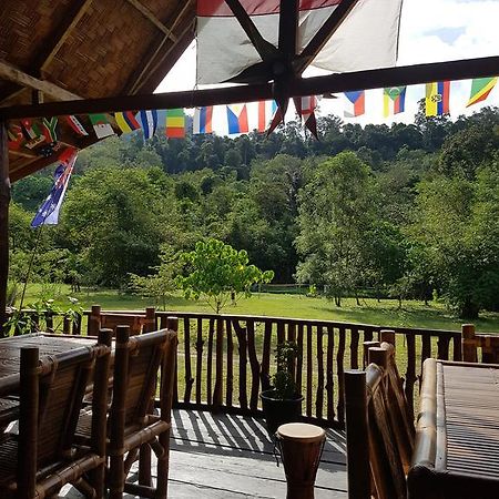 Batu Kapal Guest House & Jungle Trekking Букит-Лаванг Экстерьер фото