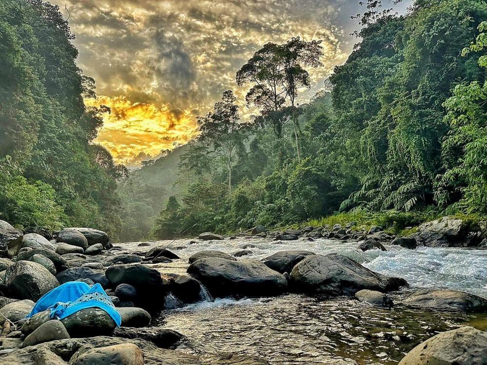 Batu Kapal Guest House & Jungle Trekking Букит-Лаванг Экстерьер фото