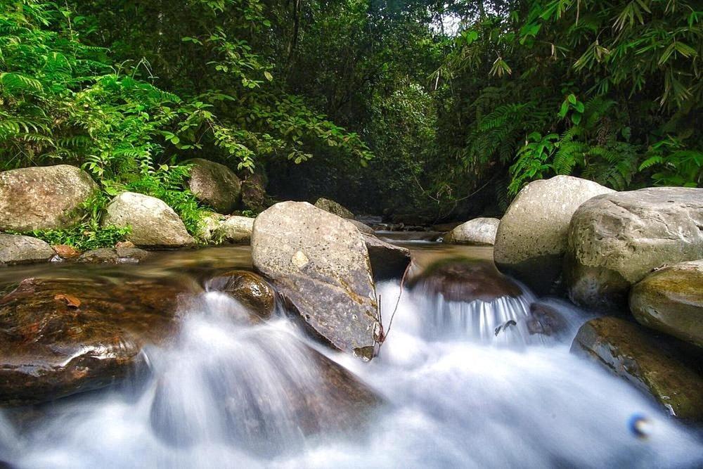 Batu Kapal Guest House & Jungle Trekking Букит-Лаванг Экстерьер фото