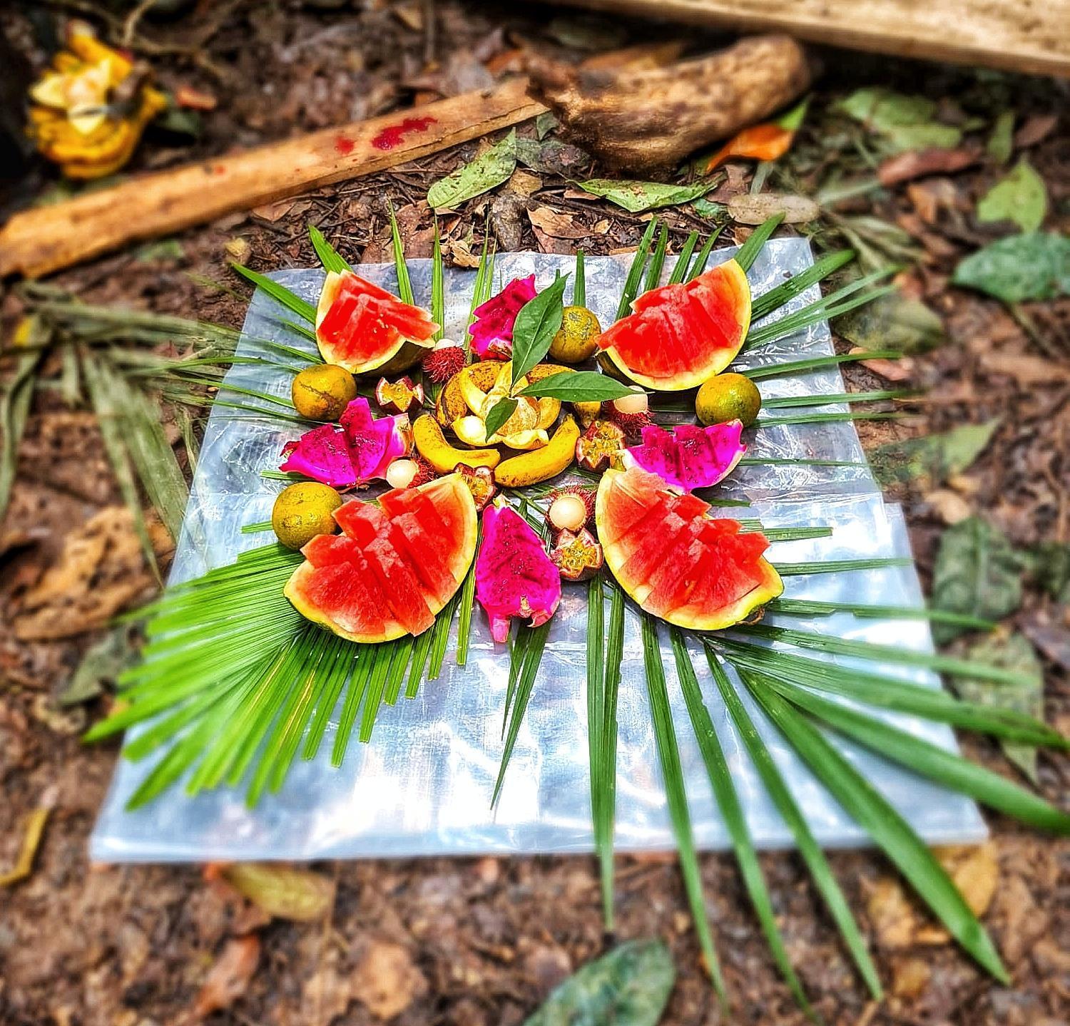 Batu Kapal Guest House & Jungle Trekking Букит-Лаванг Экстерьер фото