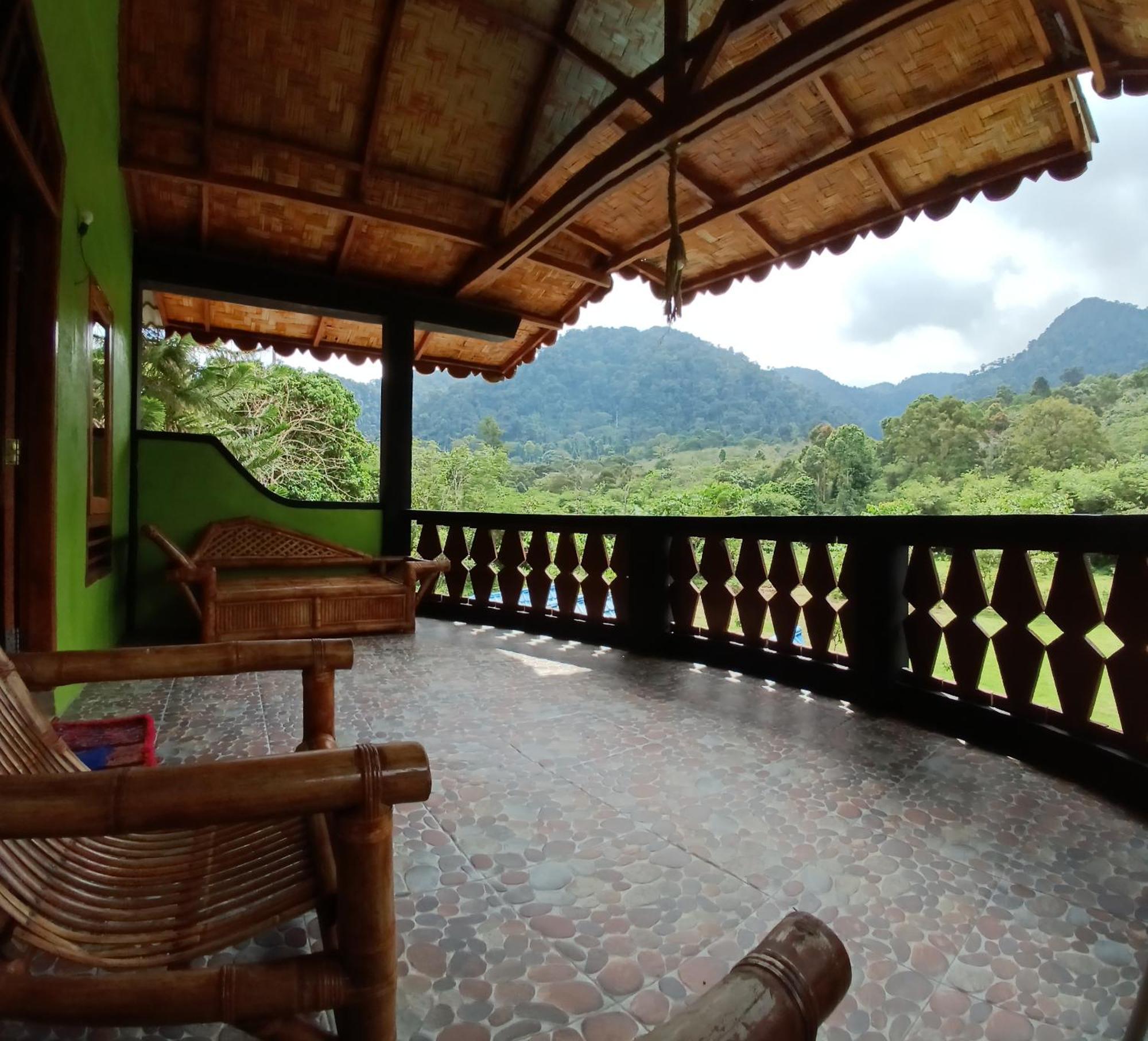 Batu Kapal Guest House & Jungle Trekking Букит-Лаванг Экстерьер фото