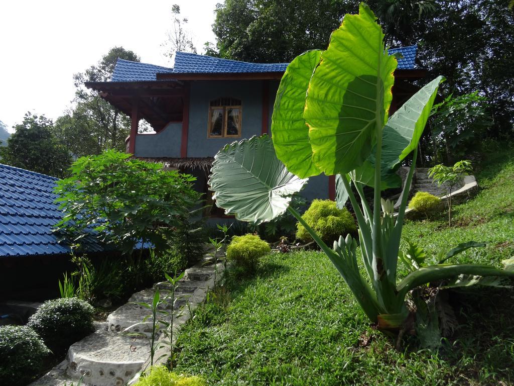 Batu Kapal Guest House & Jungle Trekking Букит-Лаванг Экстерьер фото