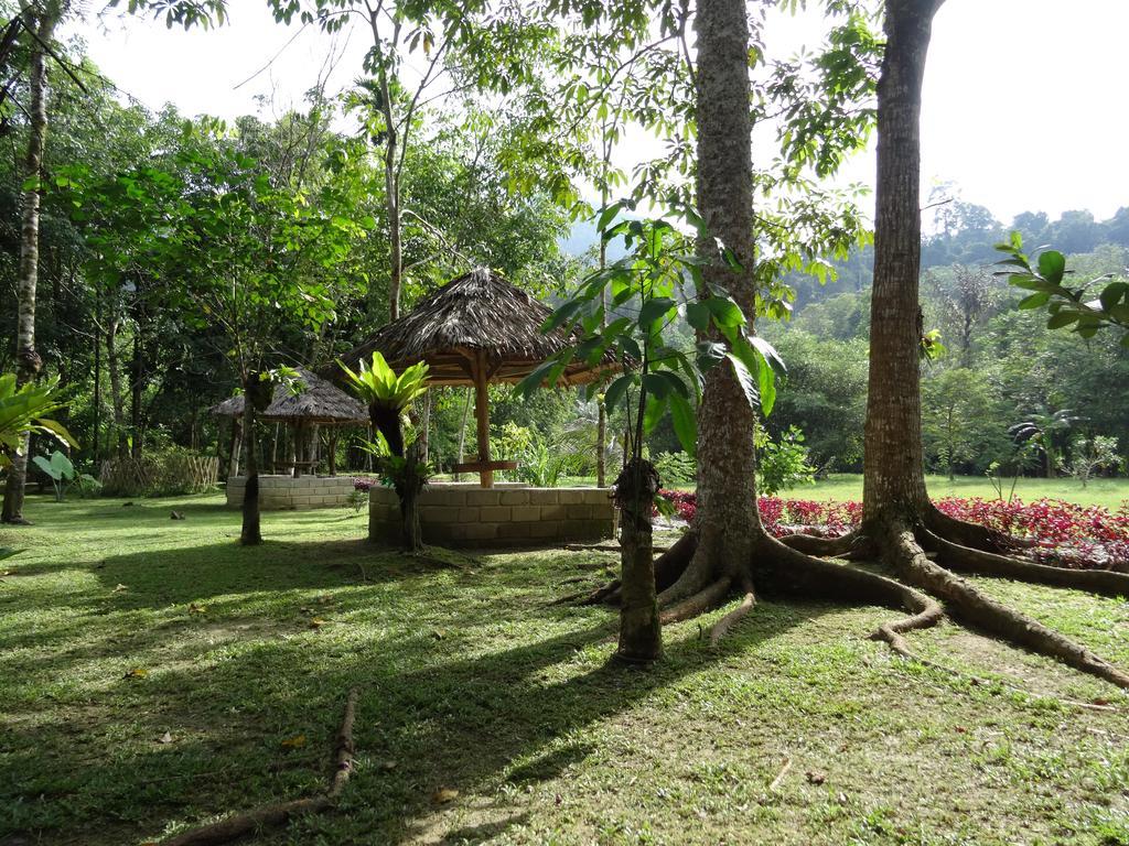 Batu Kapal Guest House & Jungle Trekking Букит-Лаванг Экстерьер фото