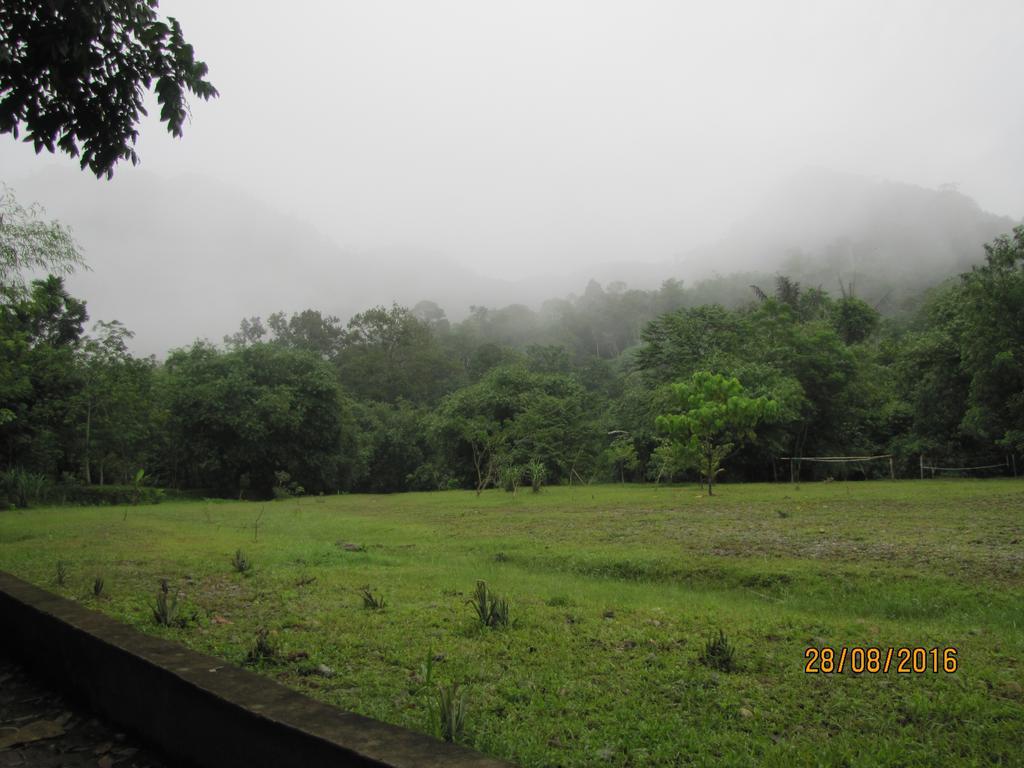 Batu Kapal Guest House & Jungle Trekking Букит-Лаванг Экстерьер фото