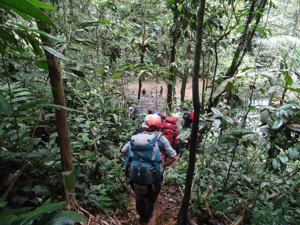 Batu Kapal Guest House & Jungle Trekking Букит-Лаванг Экстерьер фото