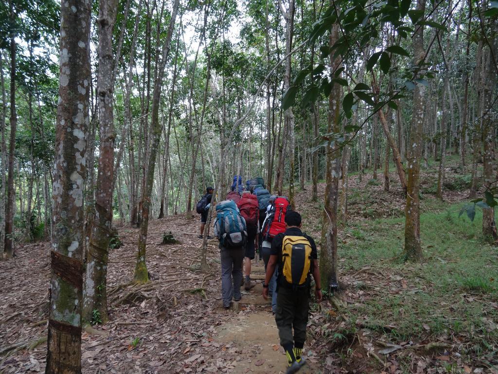 Batu Kapal Guest House & Jungle Trekking Букит-Лаванг Экстерьер фото