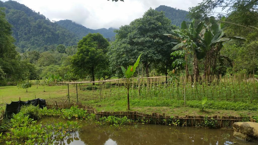 Batu Kapal Guest House & Jungle Trekking Букит-Лаванг Экстерьер фото