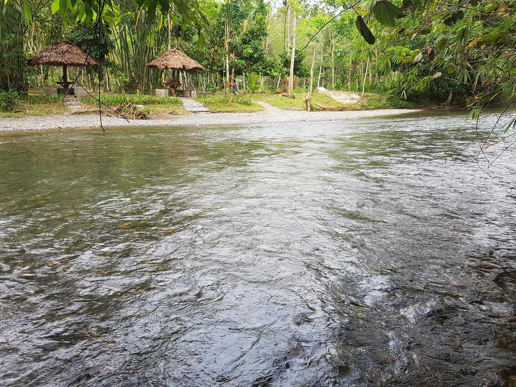 Batu Kapal Guest House & Jungle Trekking Букит-Лаванг Экстерьер фото