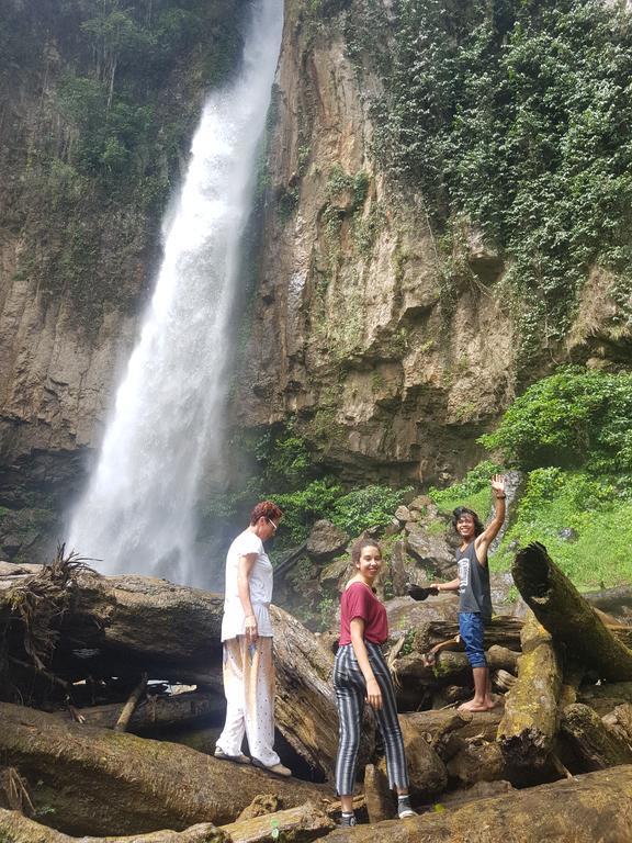 Batu Kapal Guest House & Jungle Trekking Букит-Лаванг Экстерьер фото