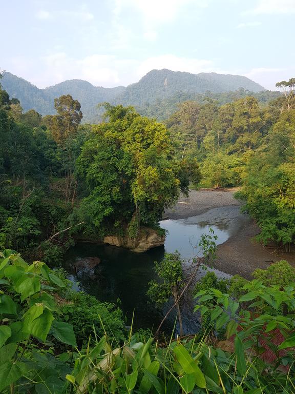 Batu Kapal Guest House & Jungle Trekking Букит-Лаванг Экстерьер фото