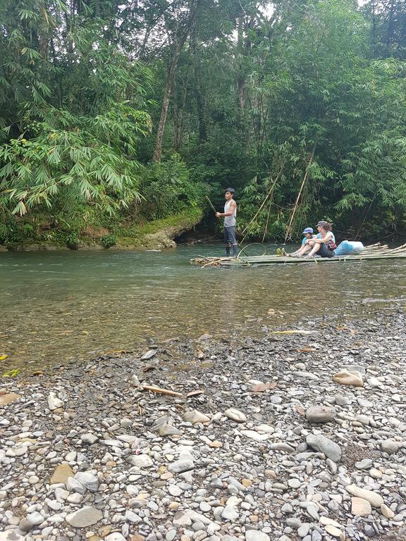 Batu Kapal Guest House & Jungle Trekking Букит-Лаванг Экстерьер фото